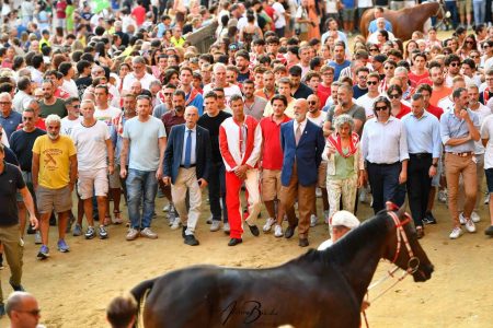 Palio di Siena del 16 agosto 2026: seconda giornata, il borsino delle accoppiate Contrada della Giraffa, Palio di Siena