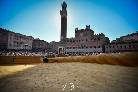 Palio di Siena del 16 agosto 2026: il borsino definitivo delle accoppiate Palio di Siena, canape e Palazzo Comunale