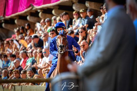 Palio di Siena del 16 agosto 2026: il borsino delle accoppiate dopo la terza giornata Nicchio, Palio di Siena del 16 agosto