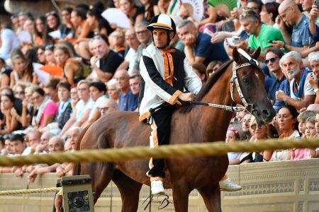 Palio di Siena del 16 agosto 2026: alla Lupa la provaccia Lupa, Palio di Siena 2026