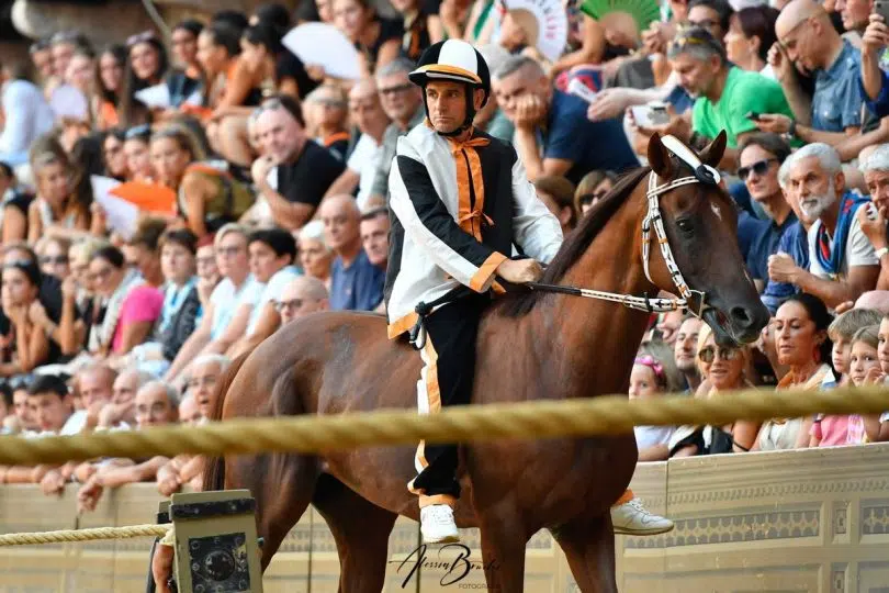 Lupa, Palio di Siena 2026