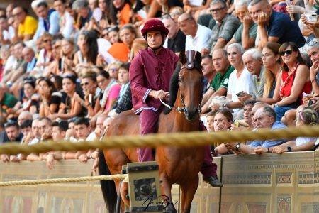 Palio di Siena del 16 agosto 2026: la Torre vince la quarta prova Contrada della Torre, Palio di Siena 16 agosto 2026