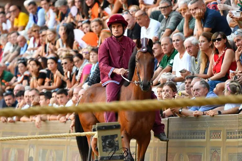 Contrada della Torre, Palio di Siena 16 agosto 2026