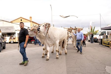 La Fiera alla Pieve torna a Sinalunga dal 3 all’11 Ottobre