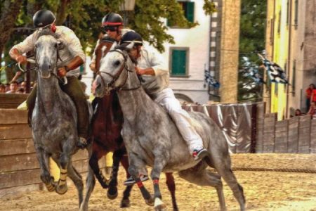 Palio di Castel del Piano 2026, 27 cavalli iscritti
