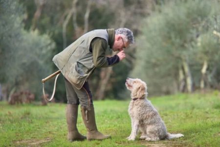 Tartufo bianco, a San Giovanni d’Asso si prepara la 40ª Mostra Mercato
