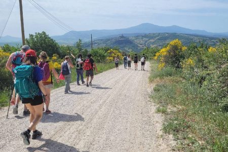 Unesco: Amorese – Michelotti (FDI), Bene esito valutazione preliminare della candidatura via Francigena