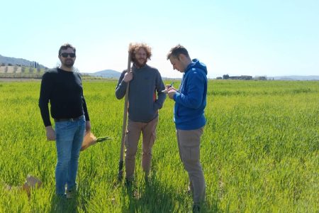 Farro toscano e cambiamento climatico: al via il progetto SvernalFar!
