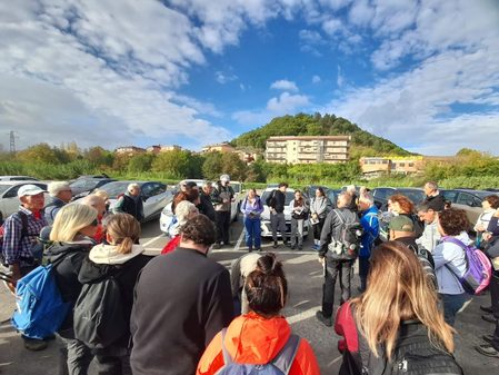 Turismo lento: Poggibonsi ‘cammina’ fra olivi, arte e tradizione francescana